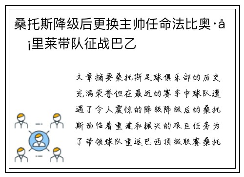 桑托斯降级后更换主帅任命法比奥·卡里莱带队征战巴乙 桑托斯降级后更换主帅任命法比奥·卡里莱带队征战巴乙